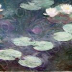 Ninfee rosa - Claude Monet