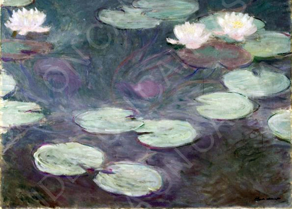 Ninfee rosa - Claude Monet