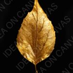 Foglia su nero -