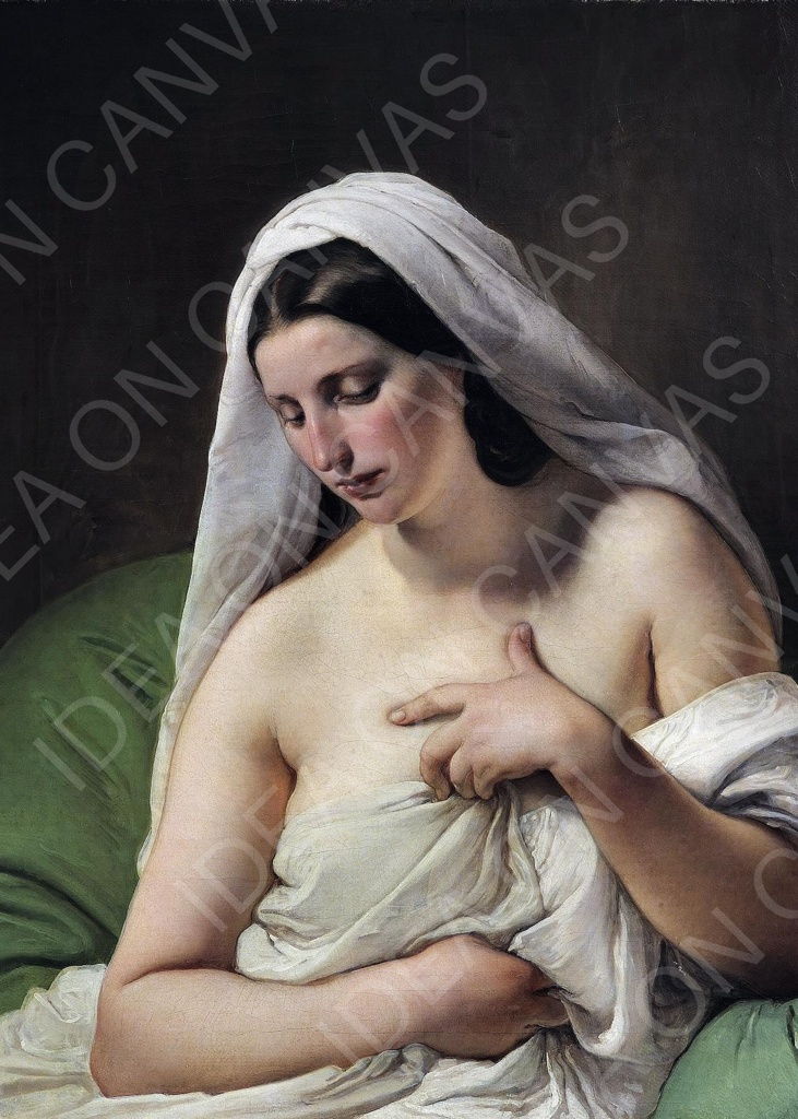 Francesco_Hayez_Odalisca.jpg Odalisca - Francesco Hayez