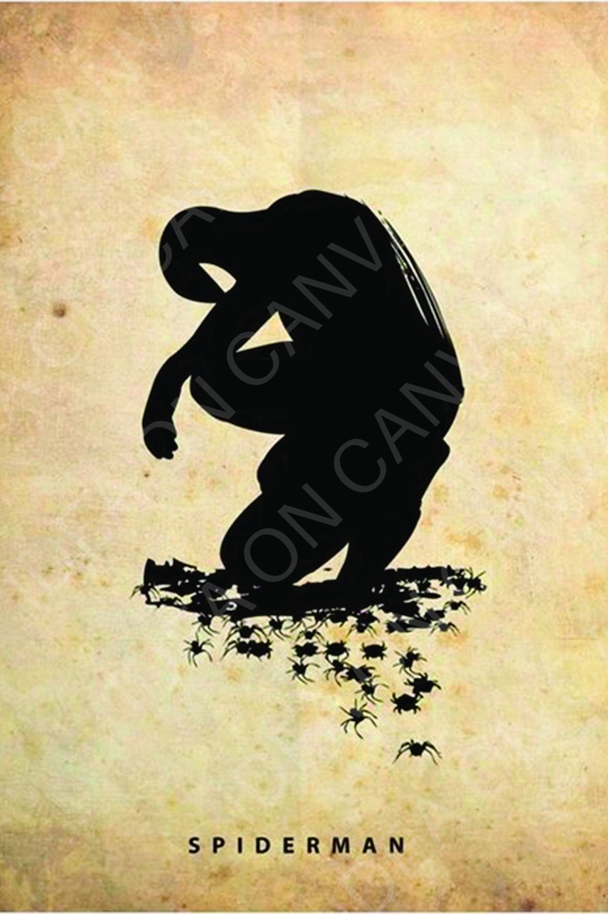 Spiderman.jpg Spiderman -