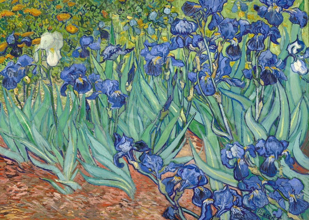 Iris - Vincent van Gogh
