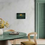 Fiore nel cemento -