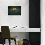 Fiore nel cemento -