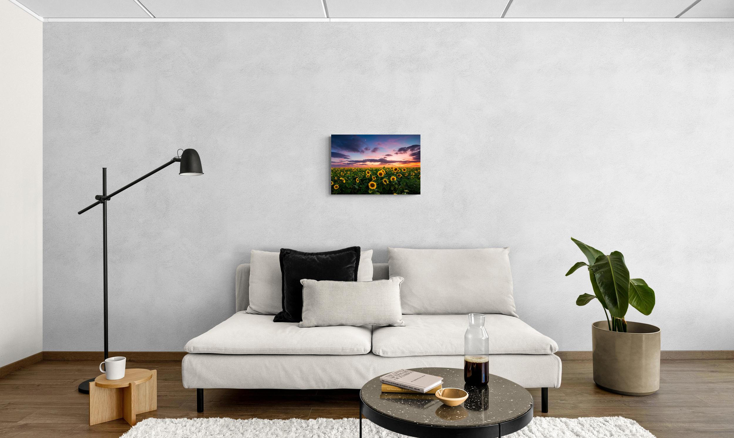 scena-3-60x40-senza-campo-di-girasoli.jpg Campo di Girasoli -