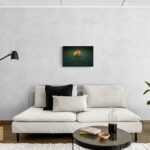 Fiore nel cemento -