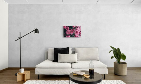 Fiori rosa -