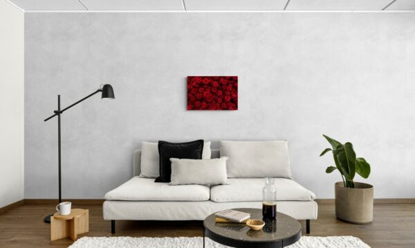 Rose Rosse -