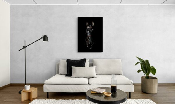Black Horse -