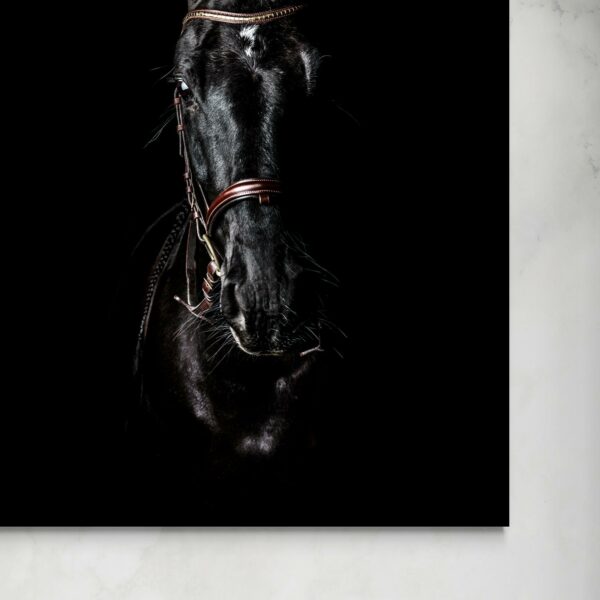 Black Horse -