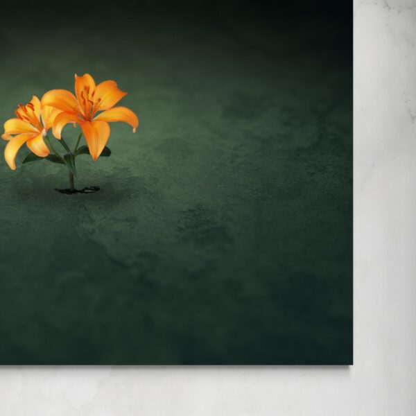 Fiore nel cemento -