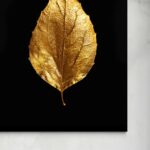 Foglia su nero -