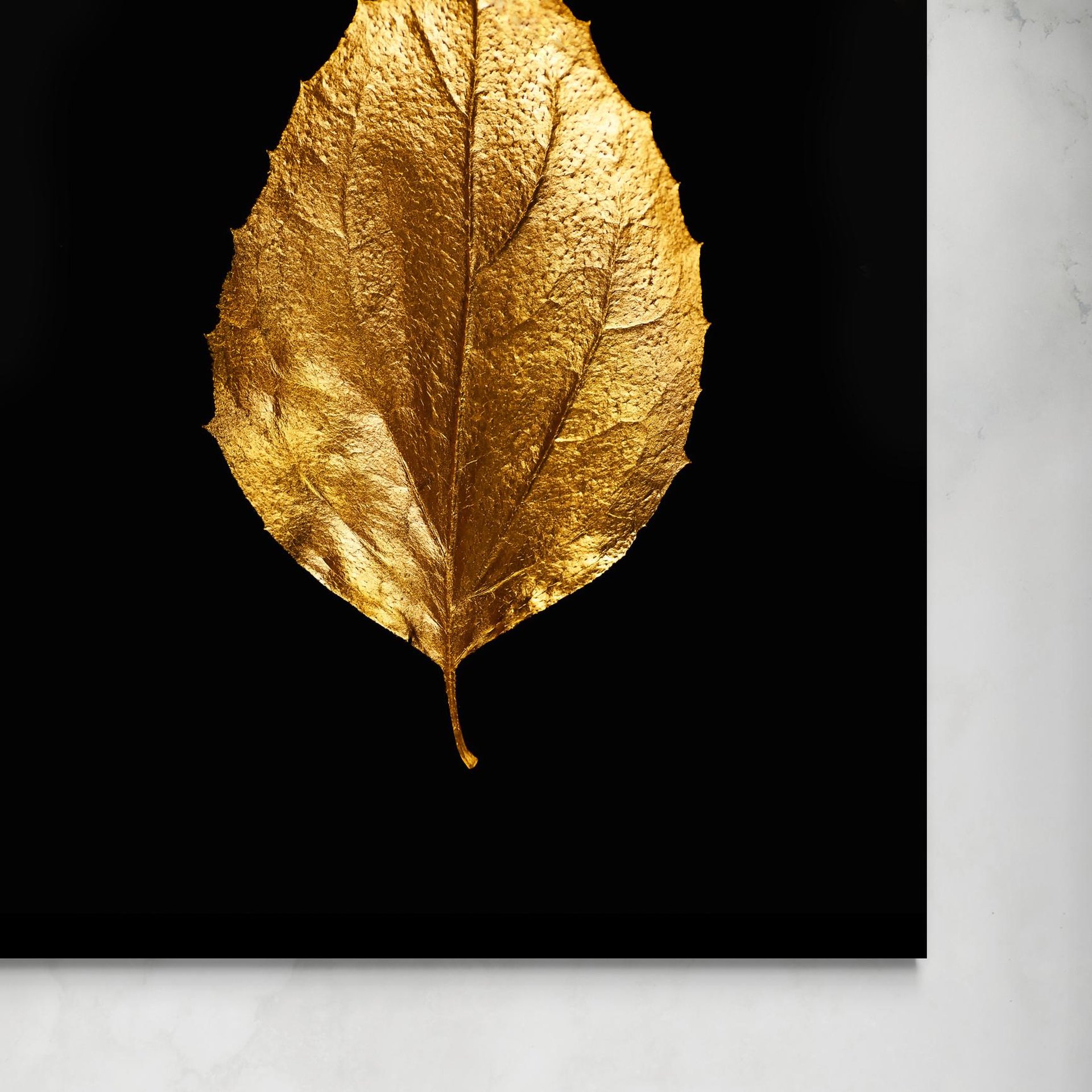 senza-foglia-su-nero.jpg Foglia su nero -