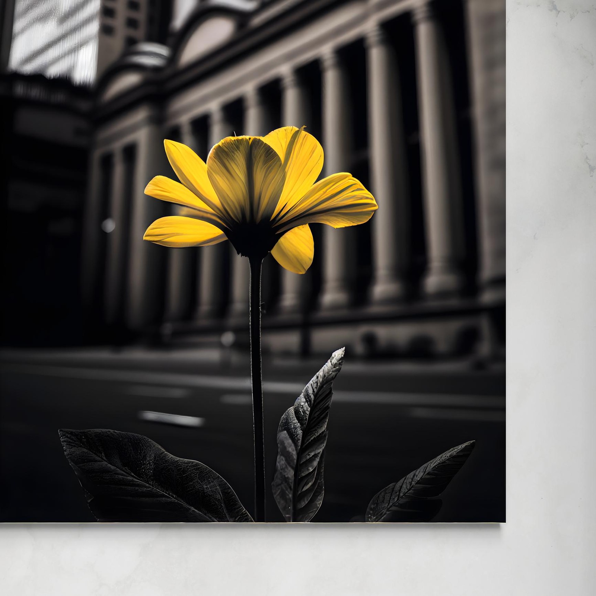 senza-glitch.jpg Glitch -