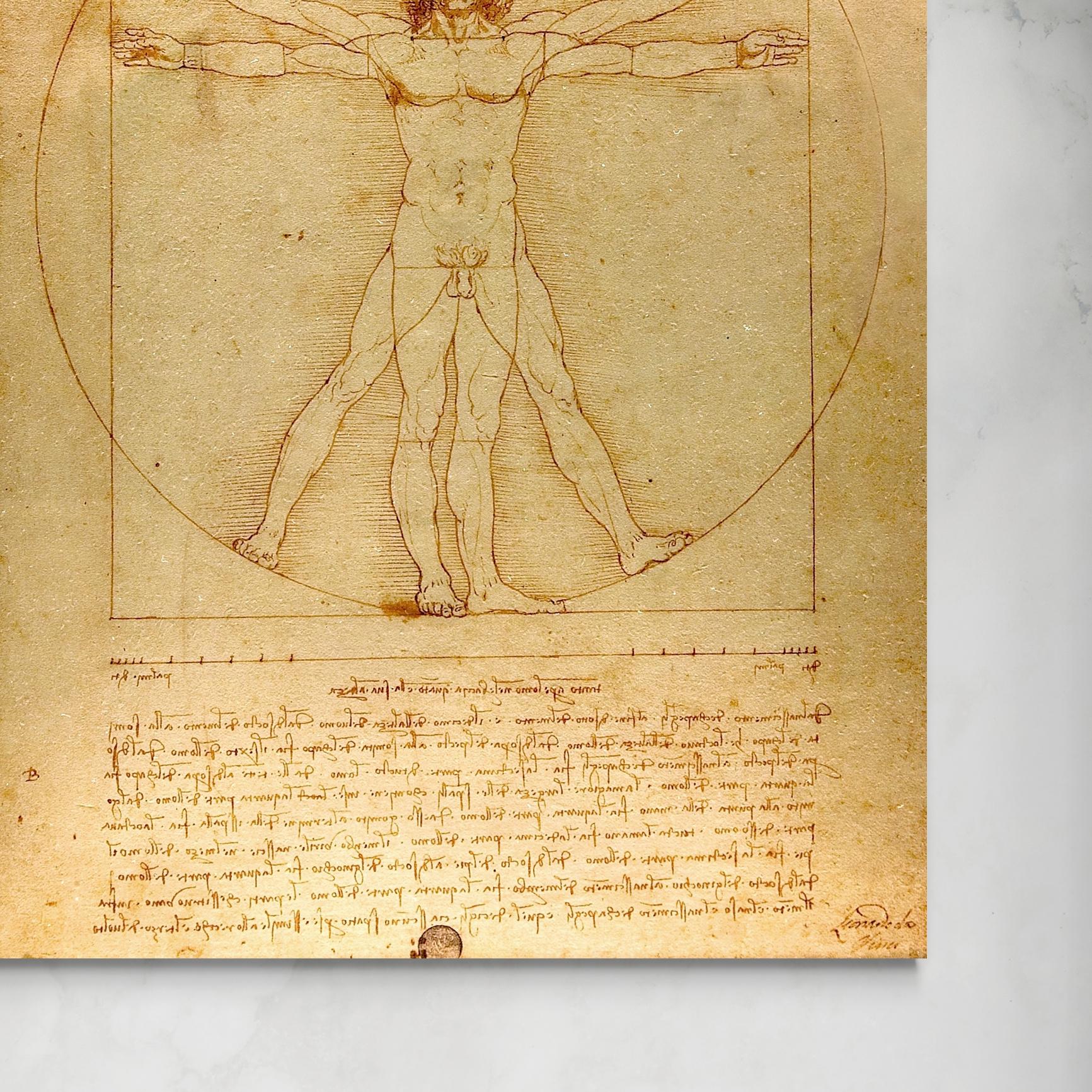 Uomo vitruviano - Leonardo da Vinci