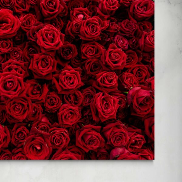 Rose Rosse -