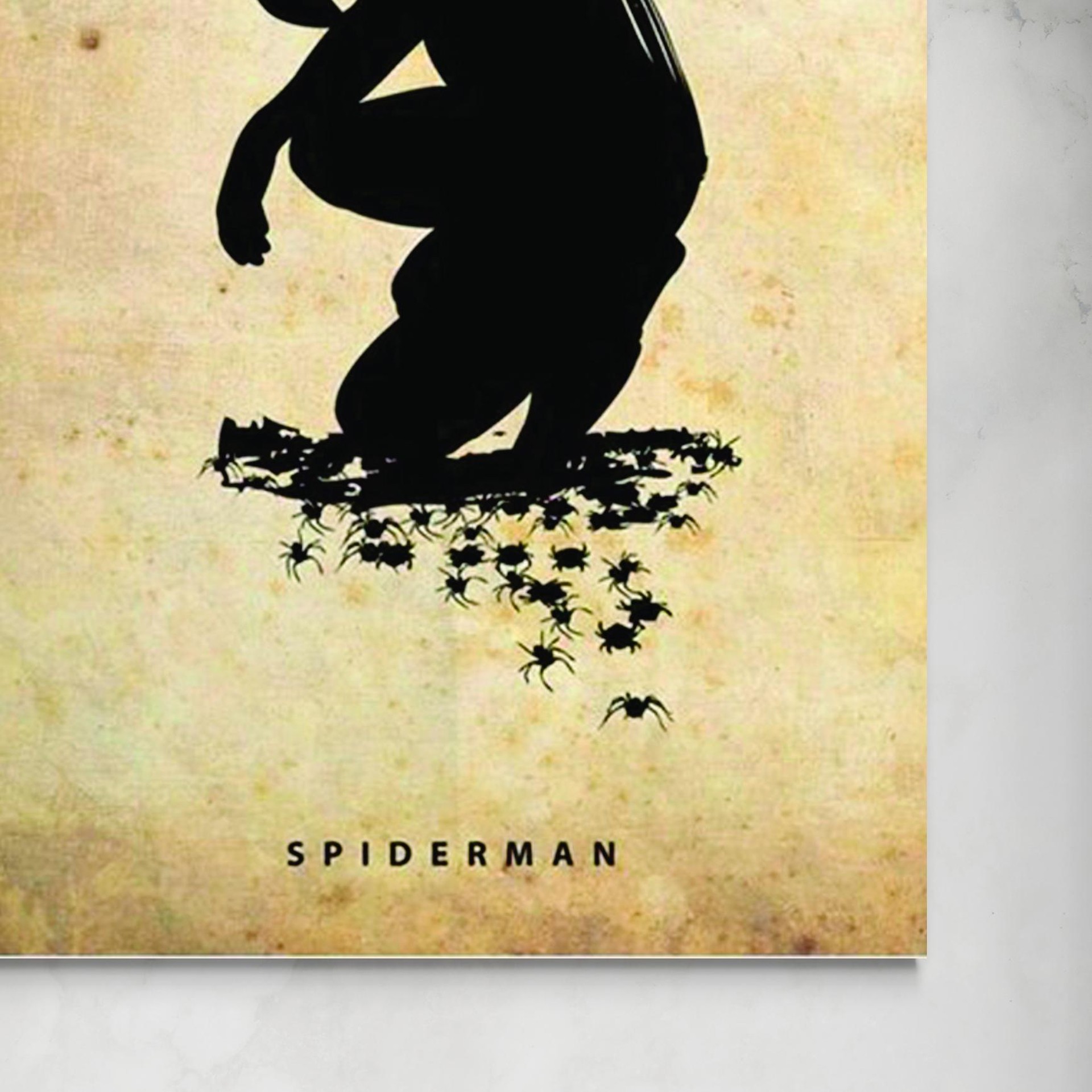 senza-spiderman.jpg Spiderman -