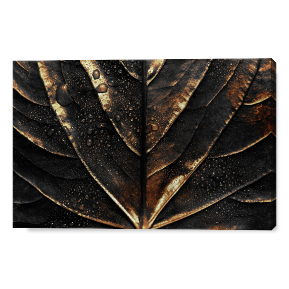 Cover Particolare foglia