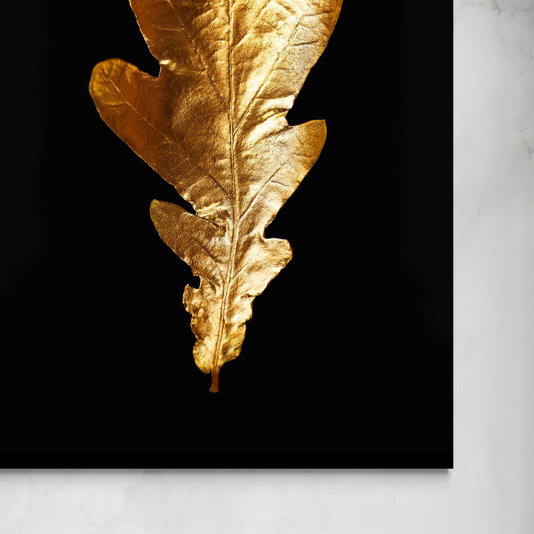 acanto-la-bellezza-della-natura-in-oro-senza.jpg Foglia d'acanto senza