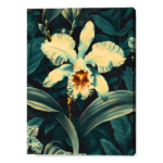 Riflessi di Lilium: Un'Oasi di Bellezza