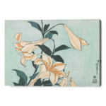 Eleganza dei Lilium