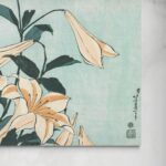 Eleganza dei Lilium senza