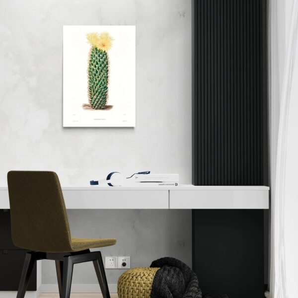 Fioriture di Mammillaria Erecta scena-2-50x70-senza