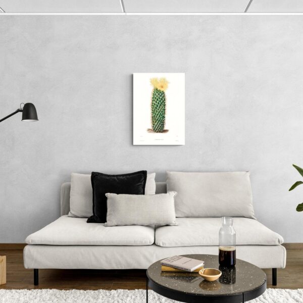 Fioriture di Mammillaria Erecta scena-3-50x70-senza