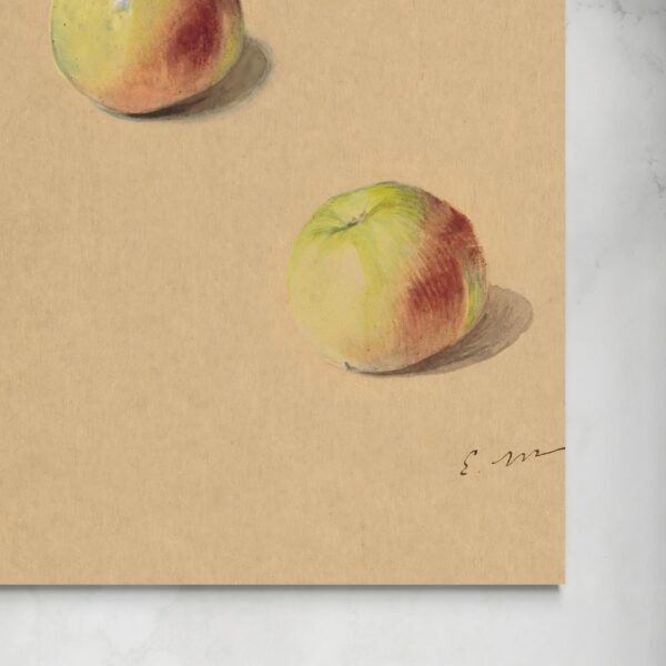 Two Apples - Édouard Manet Édouard Manet senza
