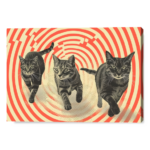 Corrente Feline: Un viaggio attraverso il labirinto