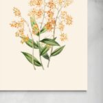 Riflessi di Luce: Orchidee d'Oro senza