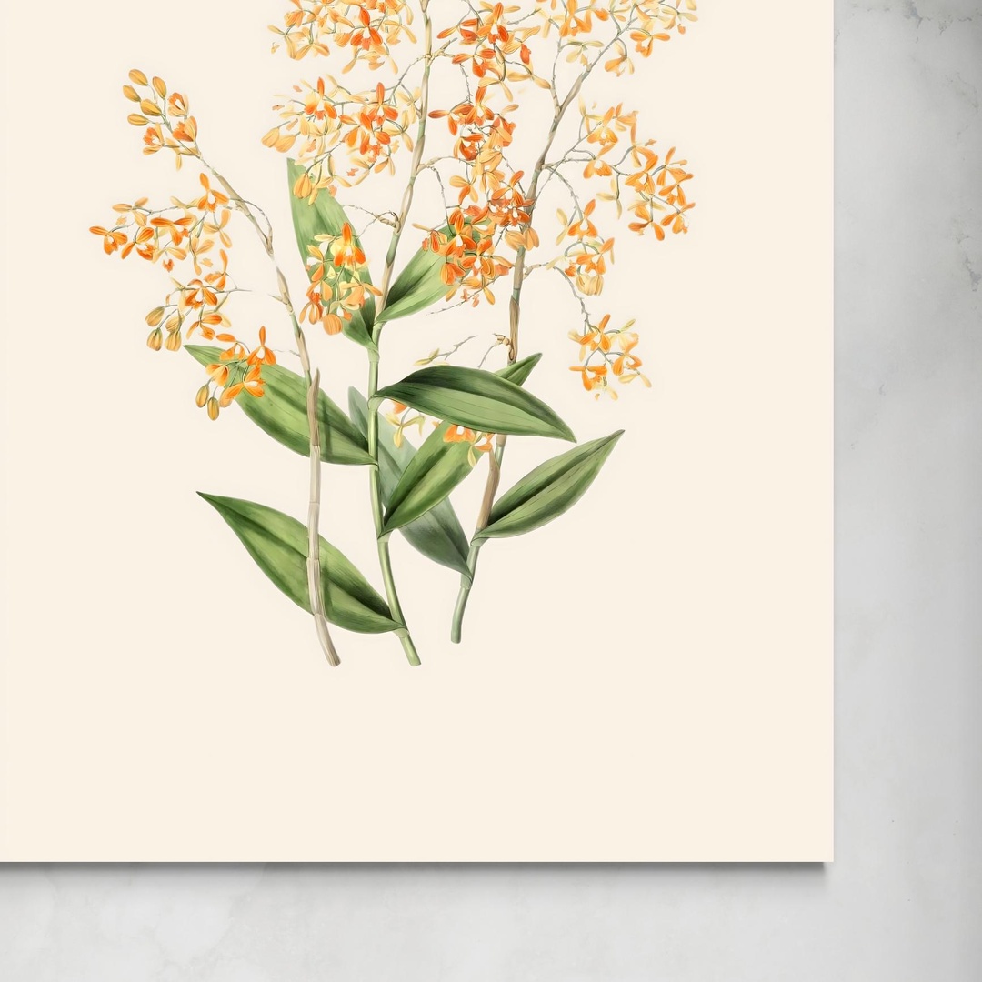 ramoscello-senza.jpg Riflessi di Luce: Orchidee d'Oro senza