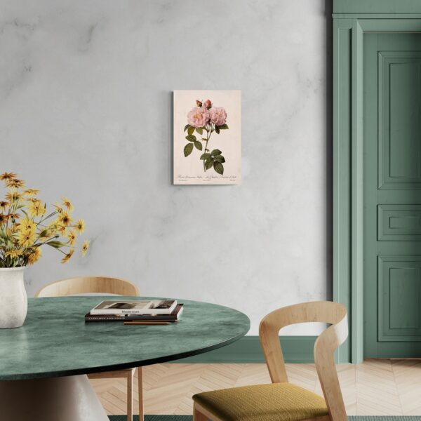 Fioritura di Rosa Damascena Italica scena-1-50x70-senza