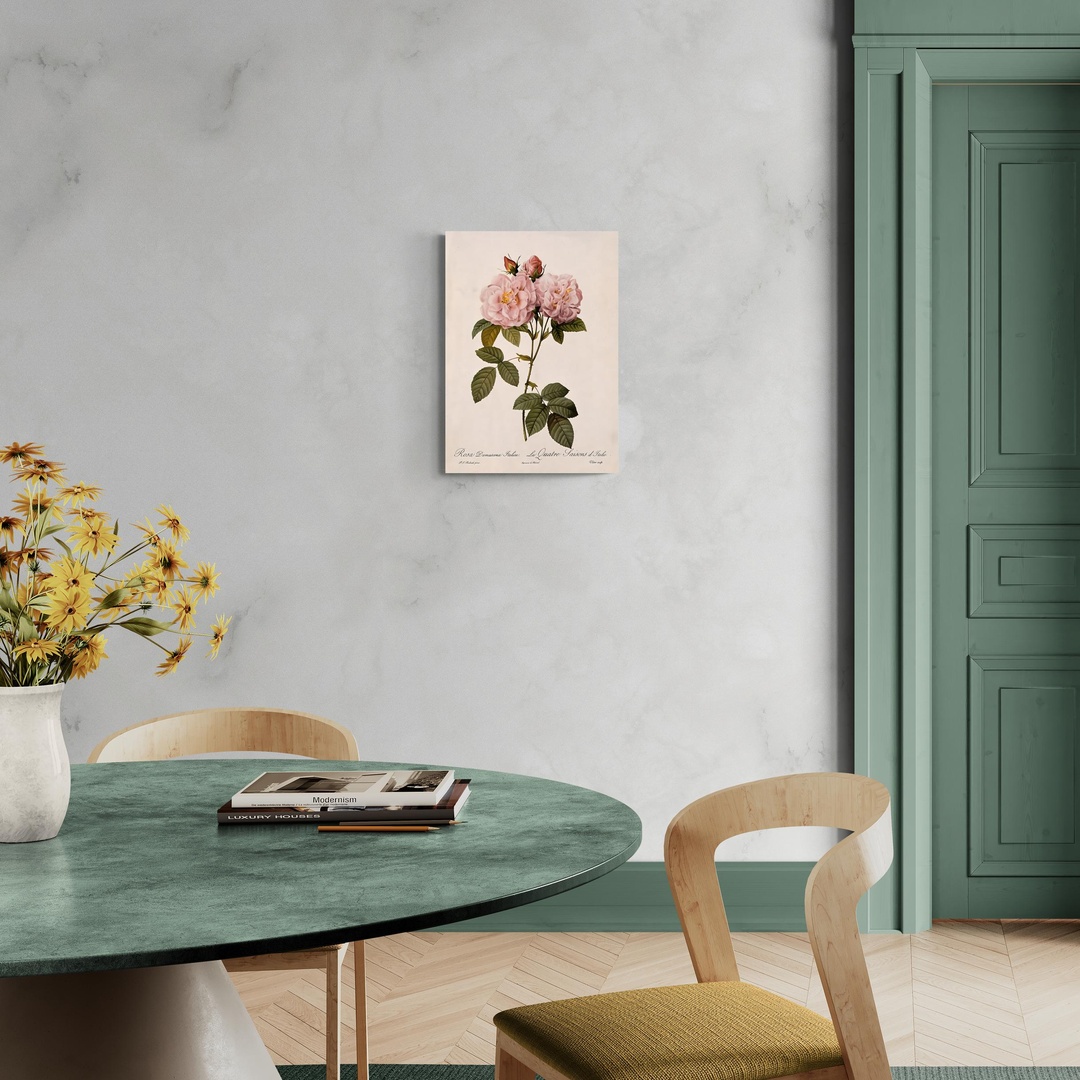 rosa-damascena-italica-scena-1-50x70-senza.jpg Fioritura di Rosa Damascena Italica scena-1-50x70-senza