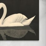 Eleganza senza tempo: Il Cigno Bianco senza