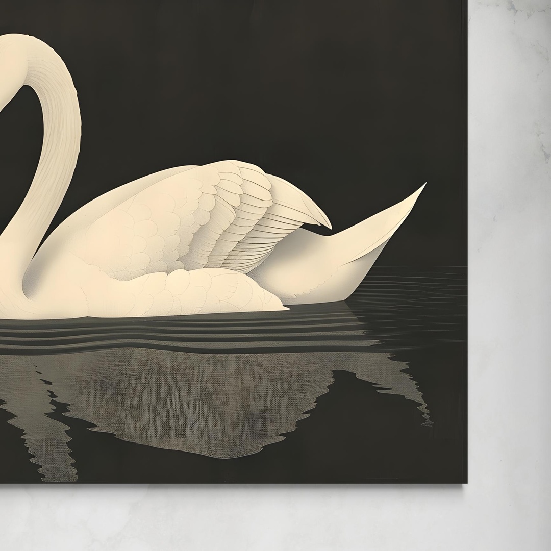 white-swan-on-black-backround-senza.jpg Eleganza senza tempo: Il Cigno Bianco senza